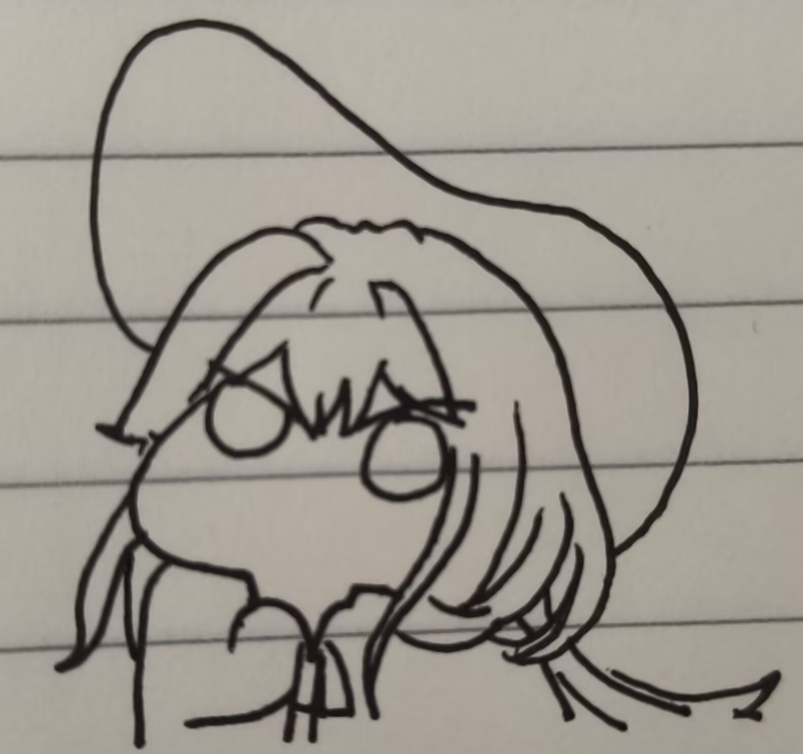 一只可爱的小猫