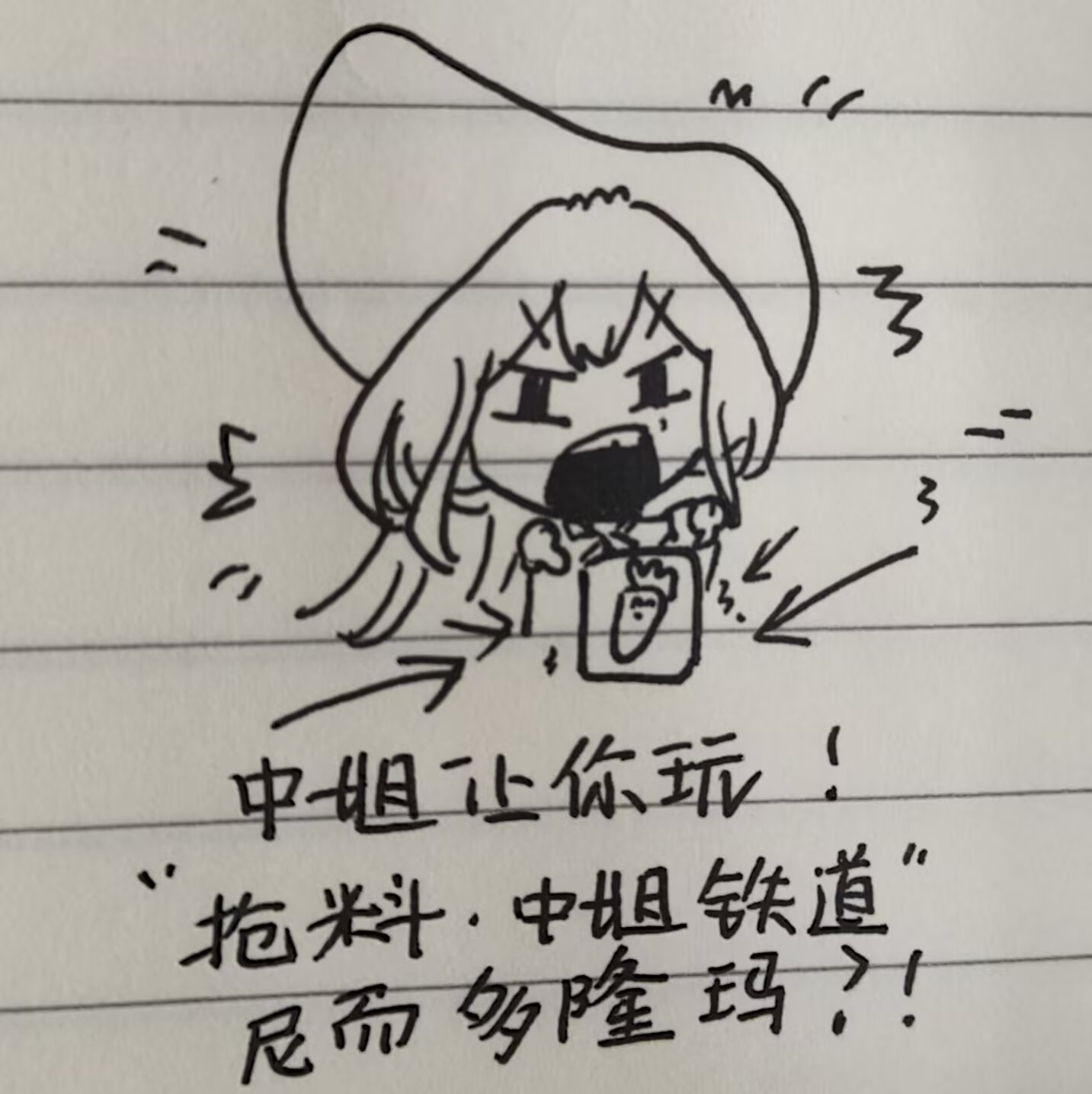 一只可爱的小猫