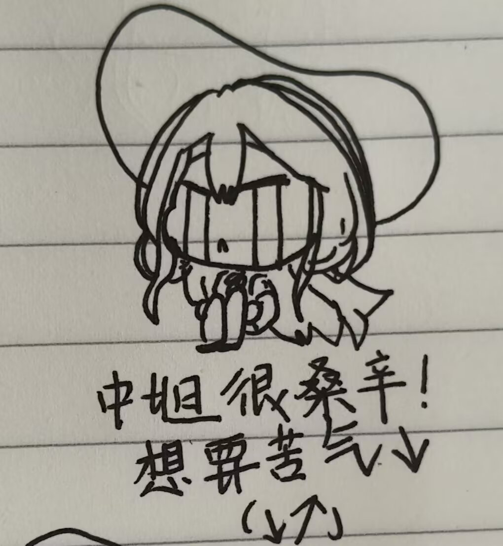 一只可爱的小猫