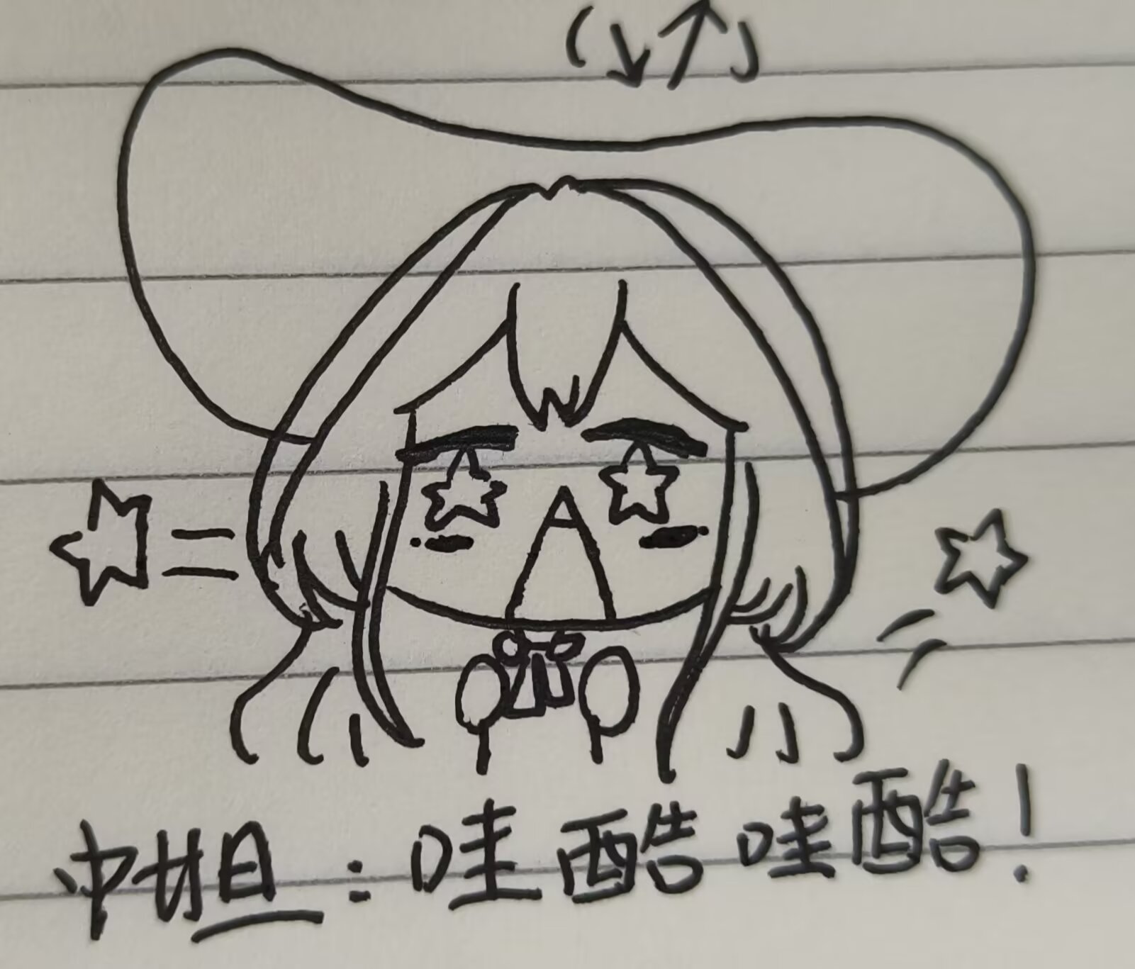 一只可爱的小猫